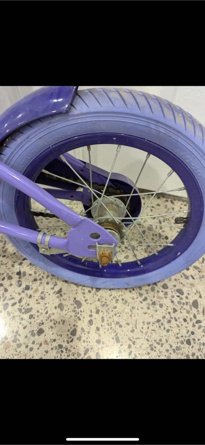 Girls Purple Bike 14 x 1.95 image indicator(3)