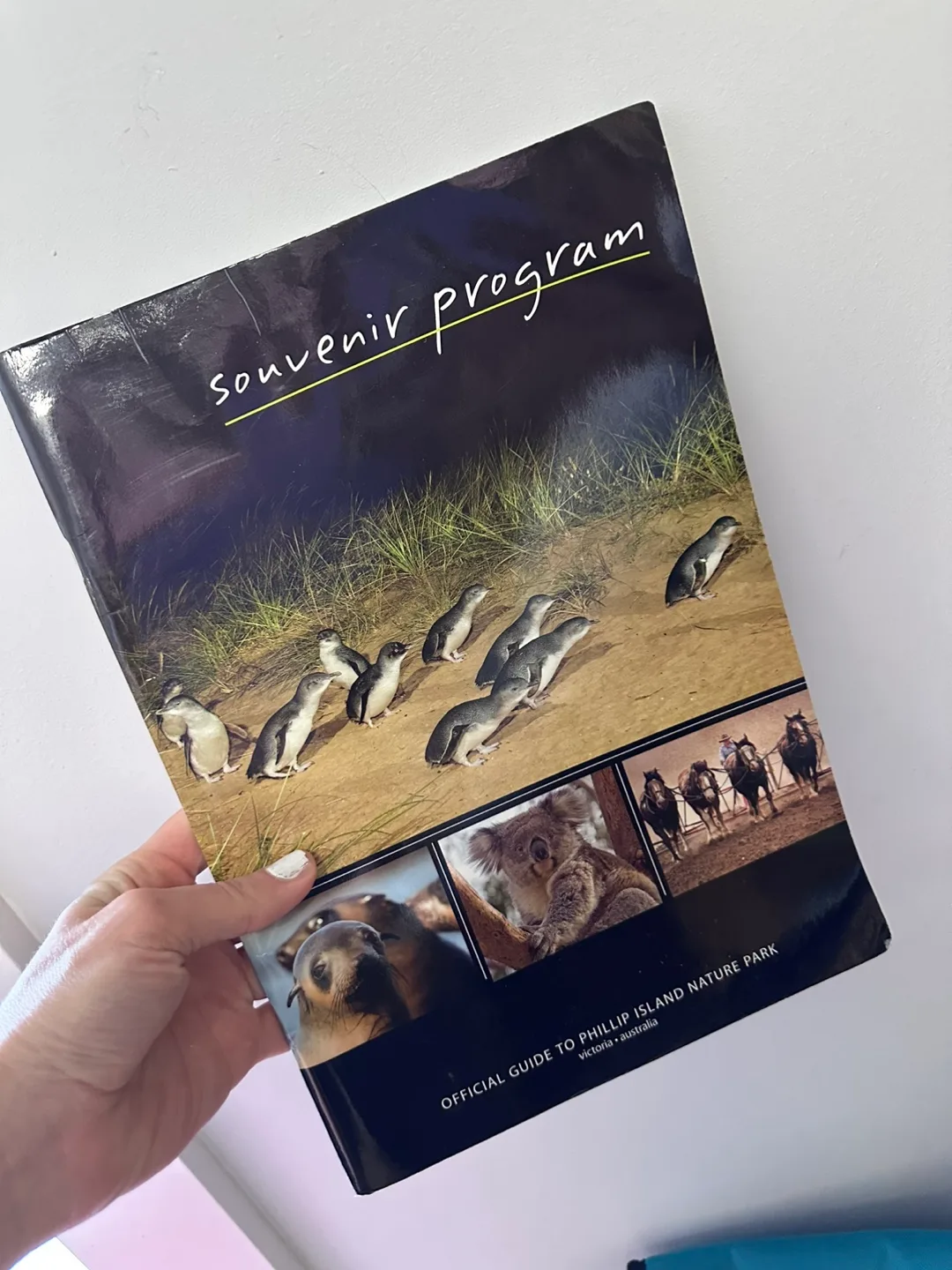 Phillip Island Nature Park Souvenir Program thumbnail