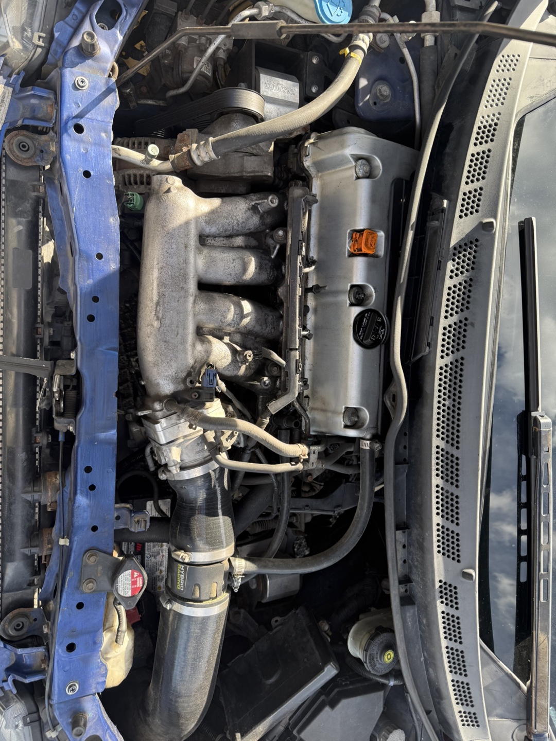 2008 Honda Civic Si Coupe - photo 5