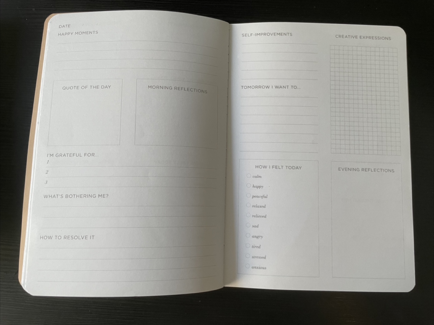 Goals & Gratitude Journal Set - photo 5