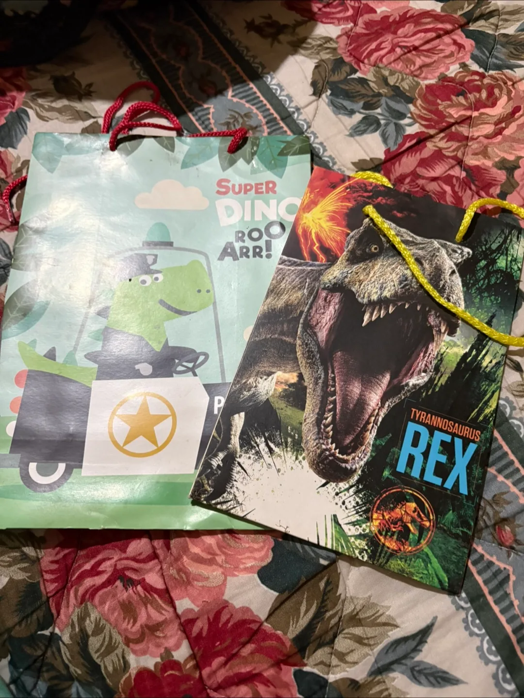 Dinosaur Gift Bags - 2 Pack thumbnail