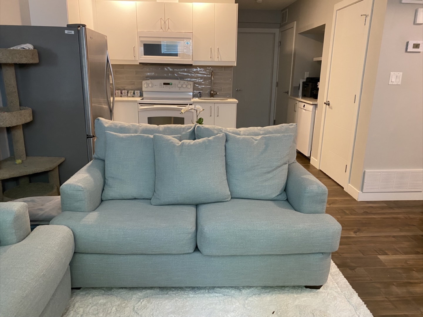 Light Green Sofa