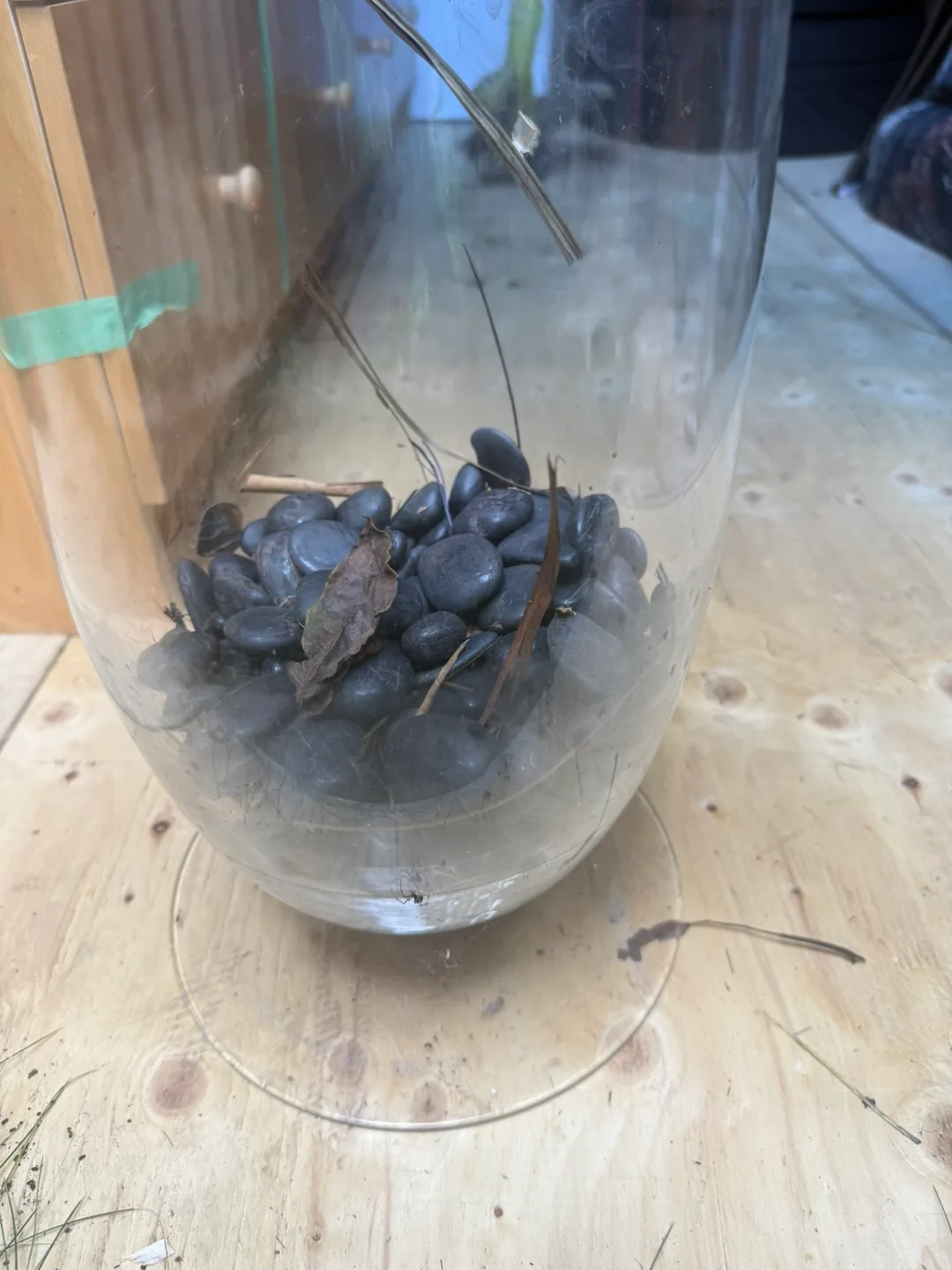 Glass Vase image indicator(3)