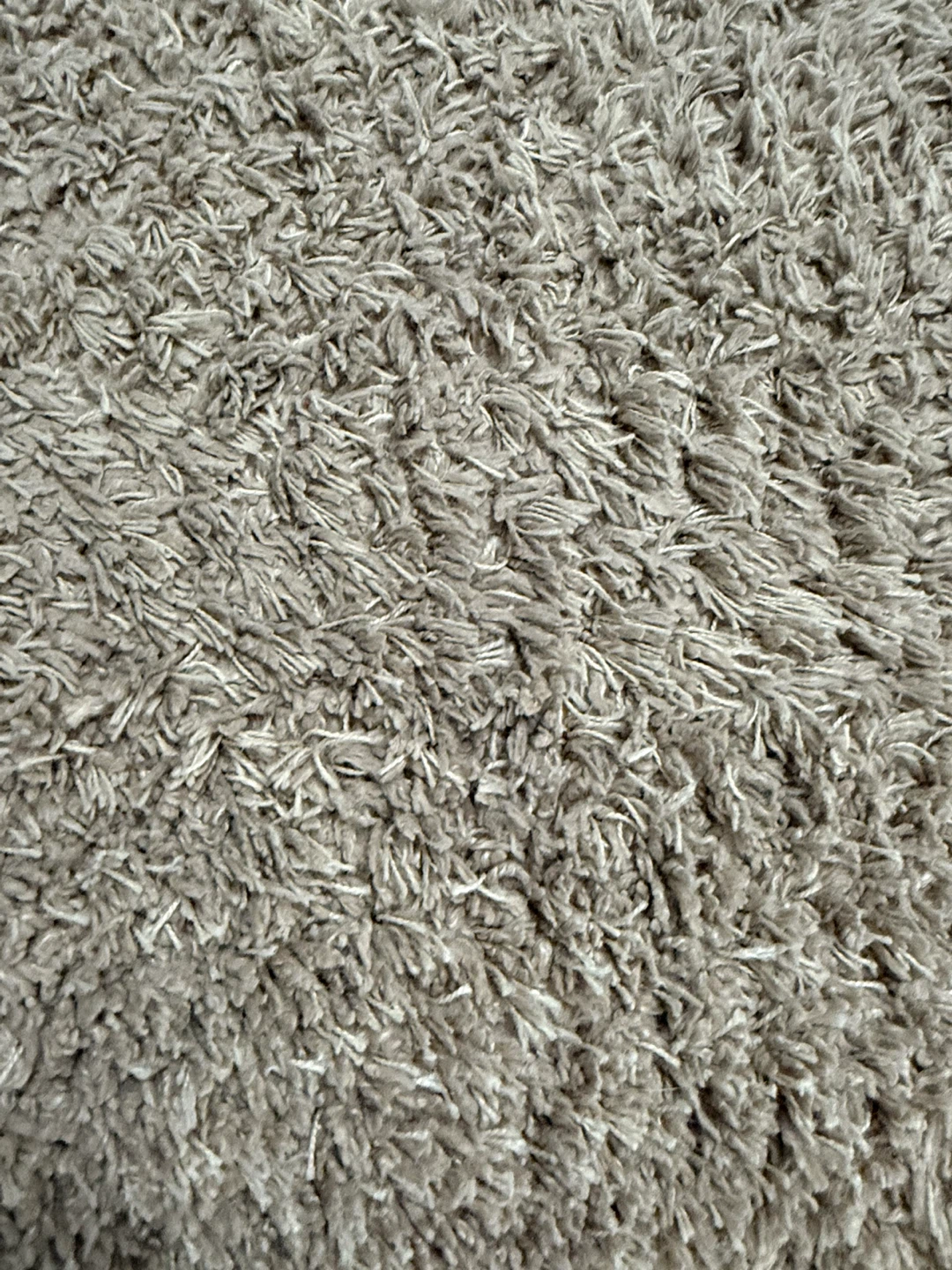 🥕Shag Rug - Neutral Colour-5x7 Area Rug