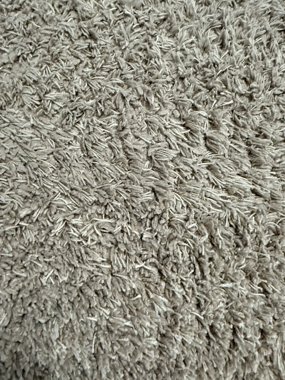 🥕Shag Rug - Neutral Colour-5x7 Area Rug thumbnail