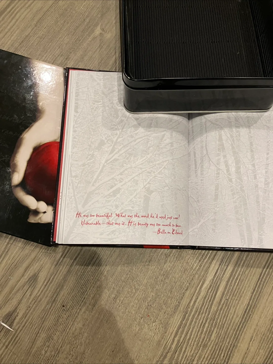 Twilight Saga Diary Tin Set image indicator(6)