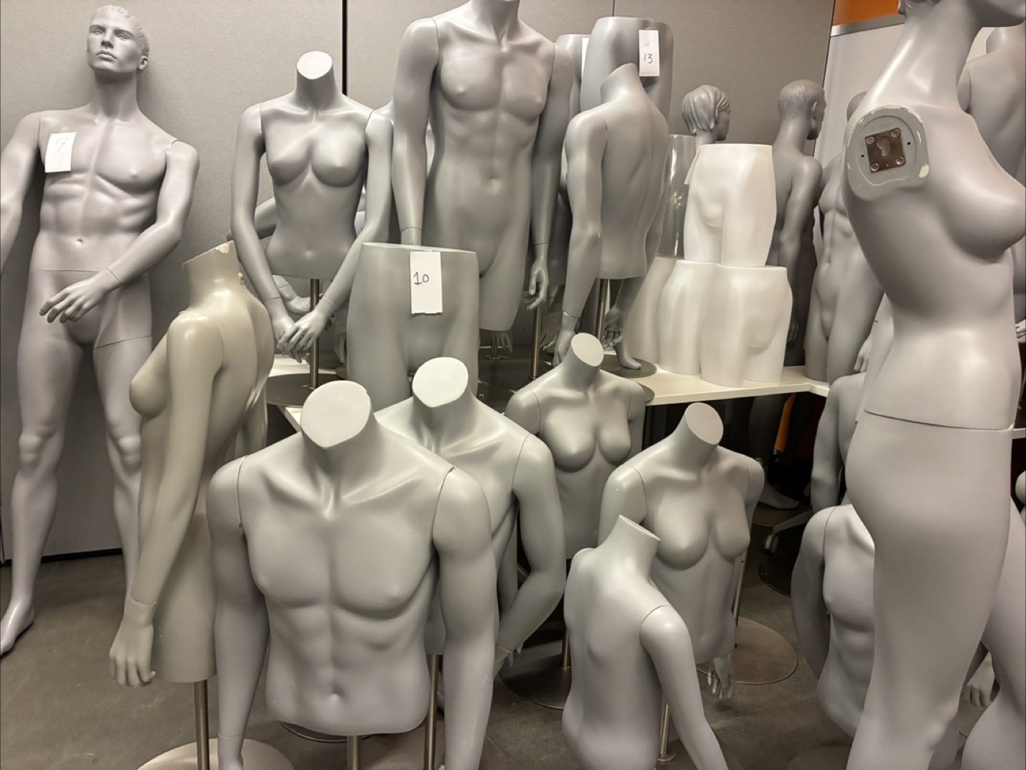 Mannequin torsos - Male & Female