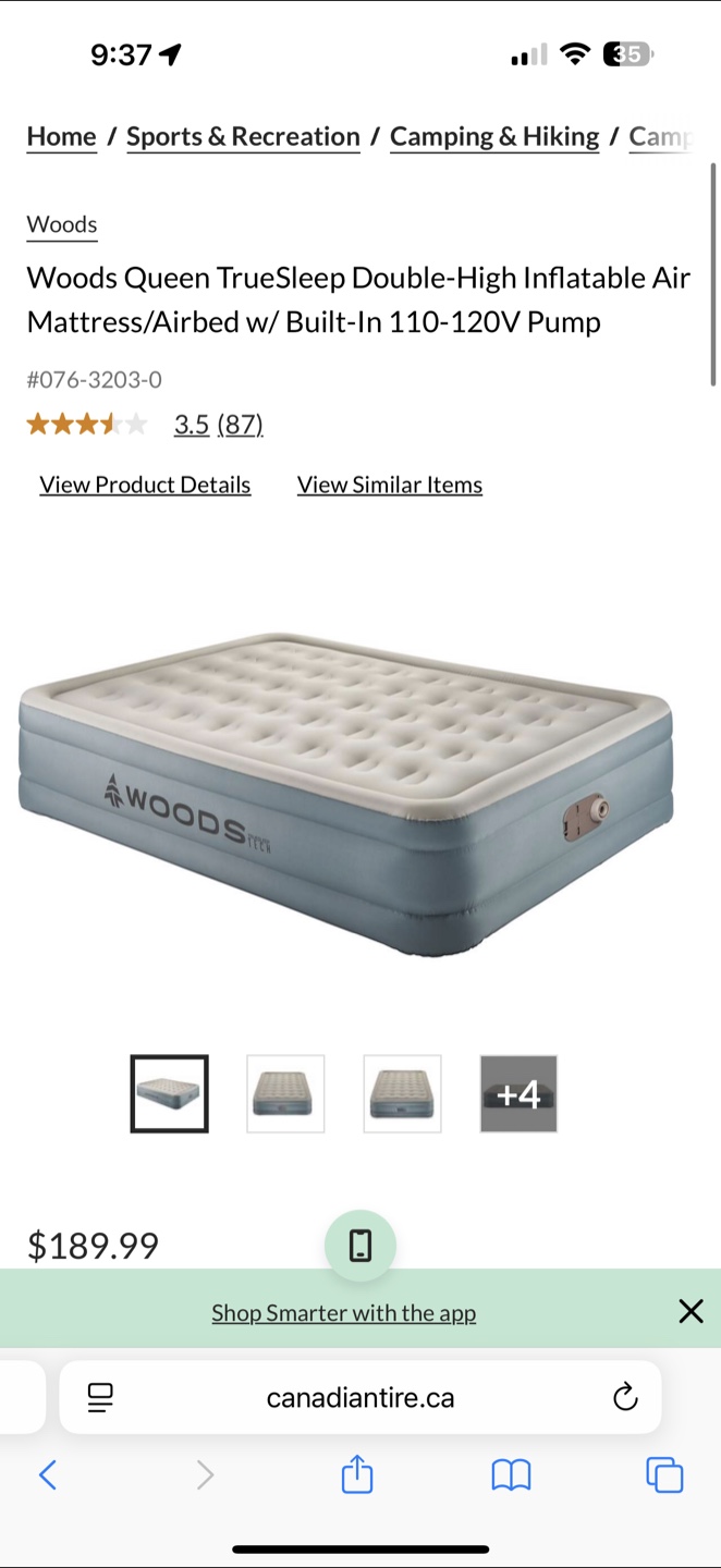 Woods Queen TrueSleep Double-High Air Mattress