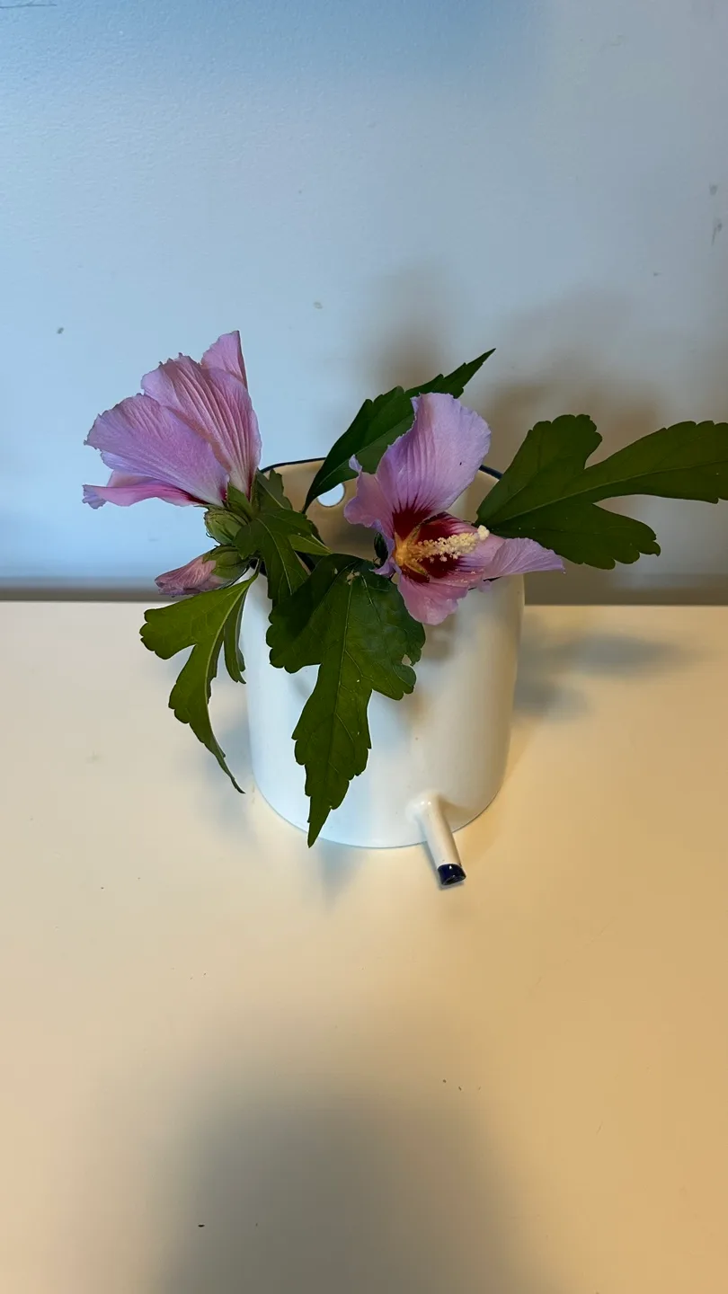 SOLD Vintage Enamel Ware container/ pot/wall decor image indicator(6)