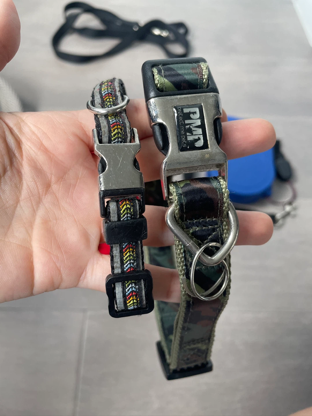 Dog Collars