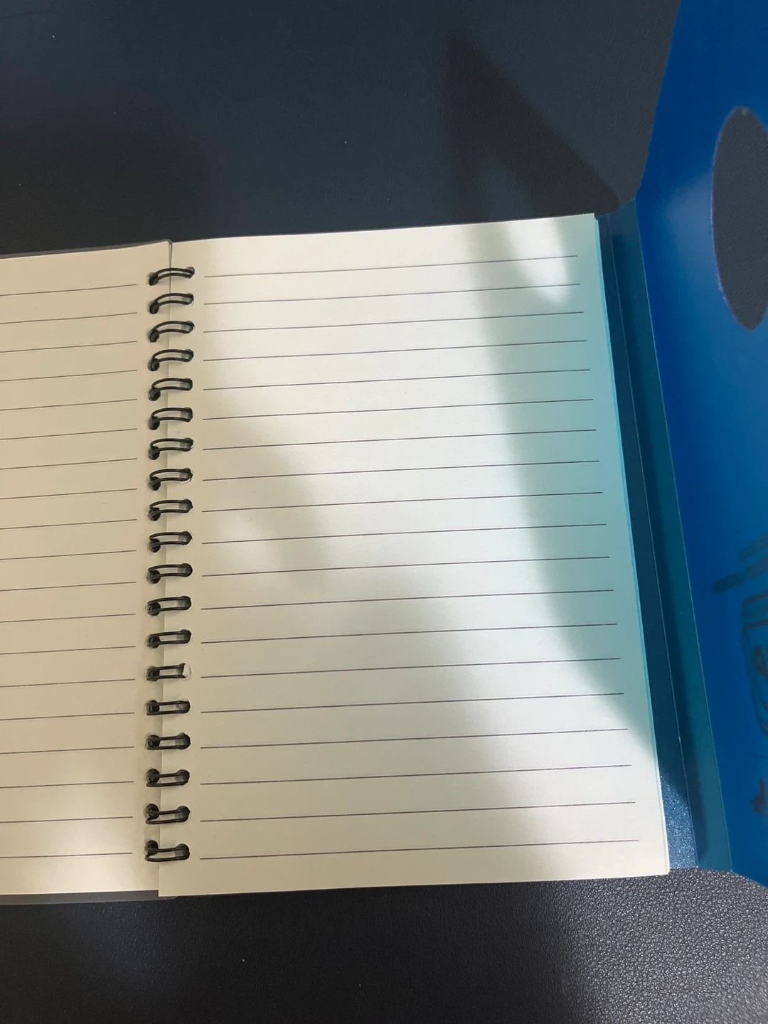 Lined pages Notebook - photo 2