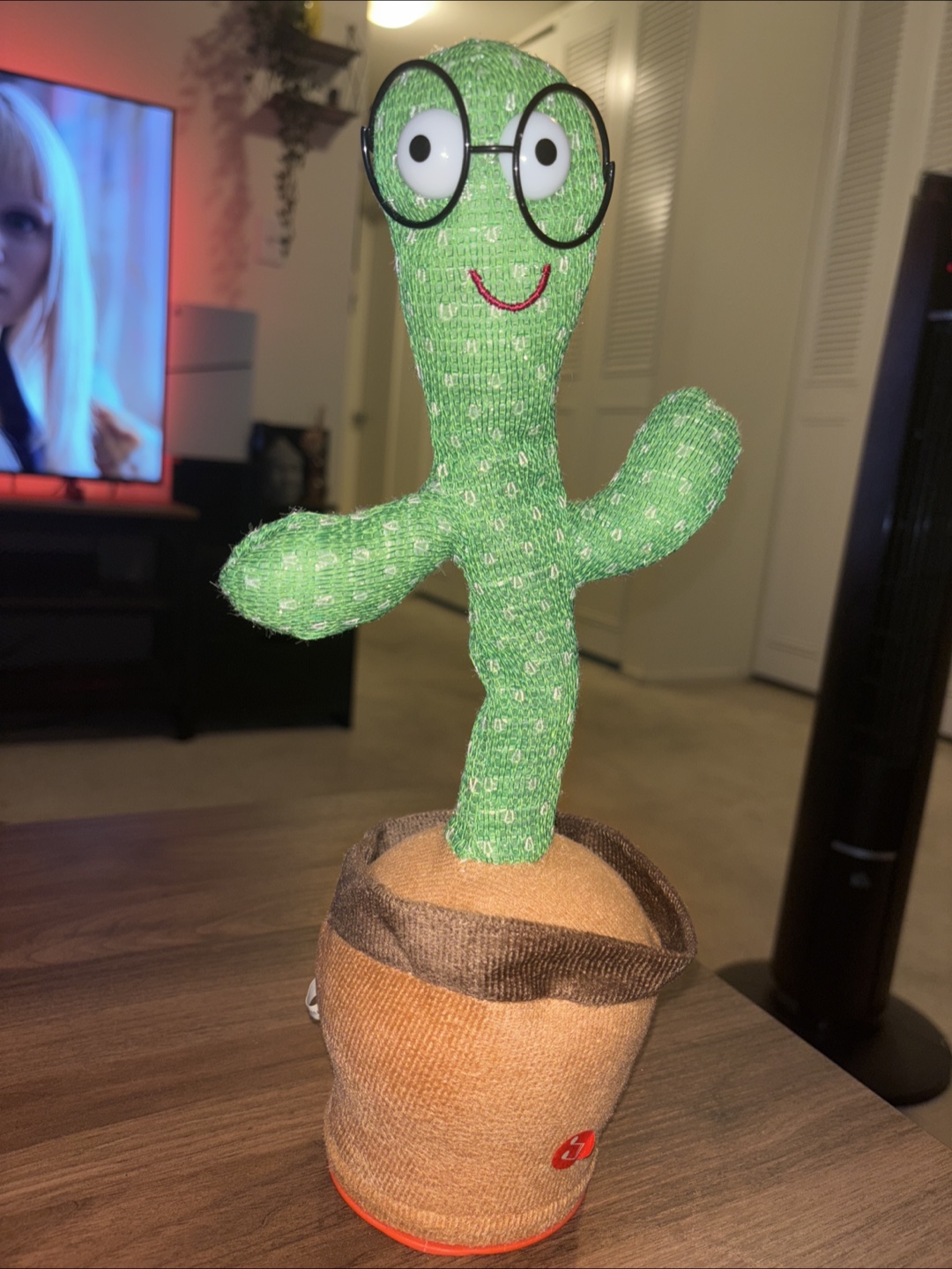 Dancing Cactus Toy
