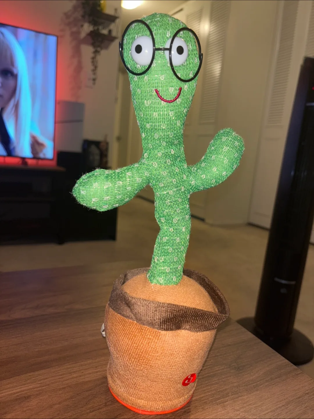 Dancing Cactus Toy