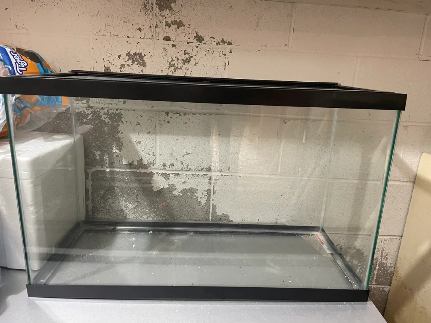 29 Gallon Tank thumbnail