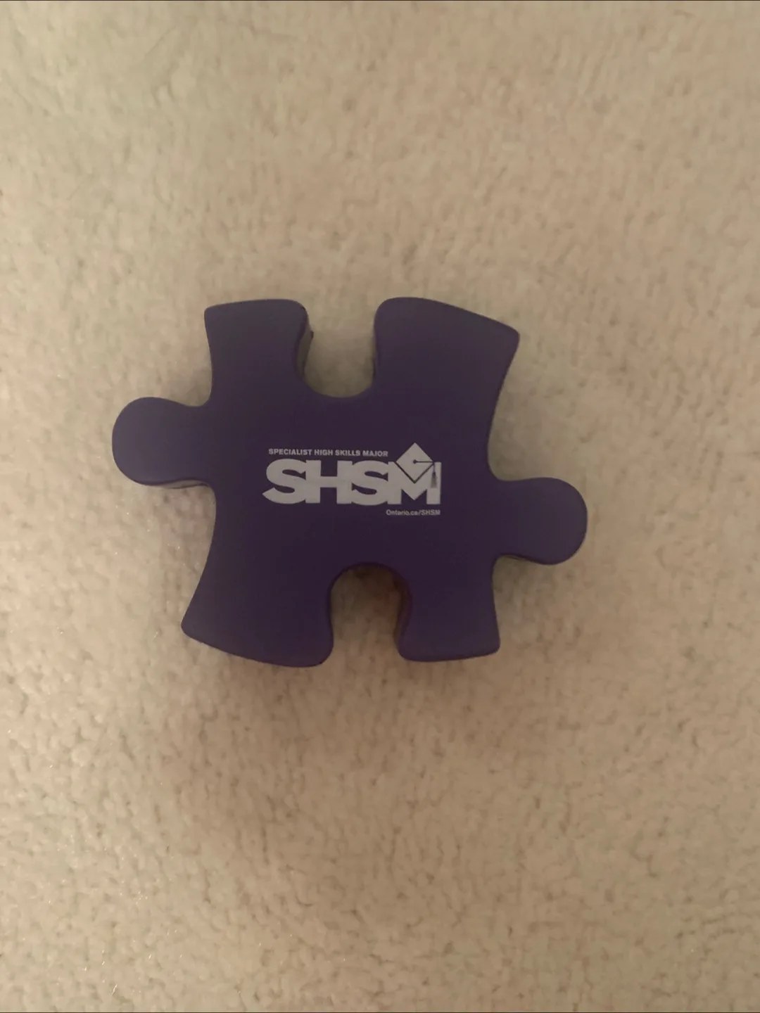 SHSM Puzzle Piece thumbnail