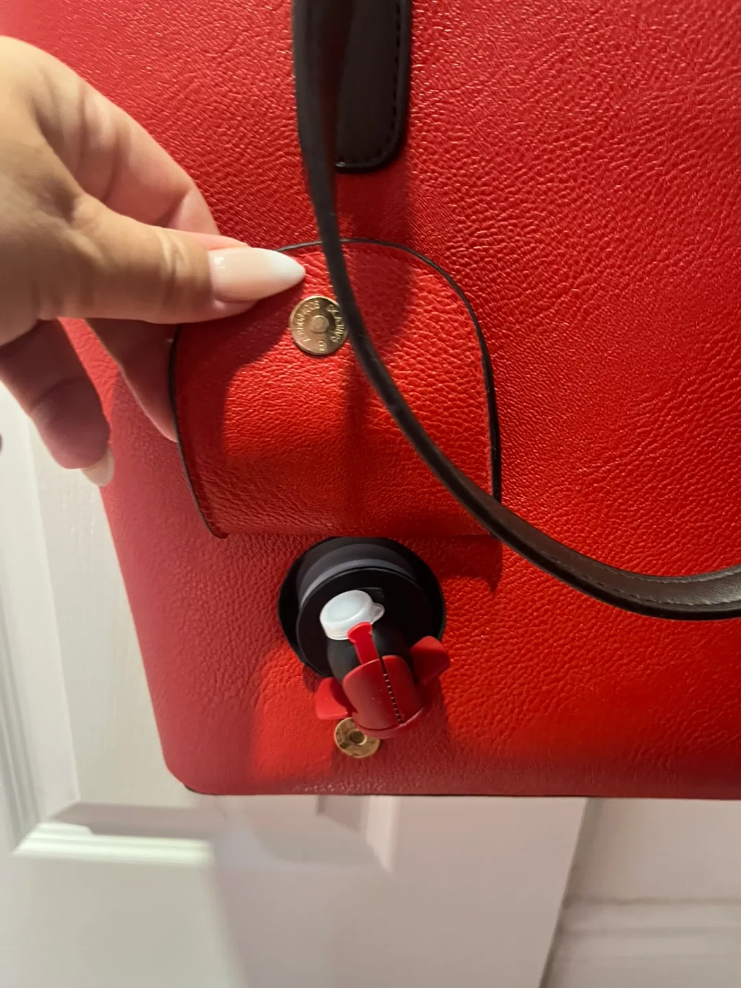 Red Wine Dispensing Tote Bag image indicator(2)