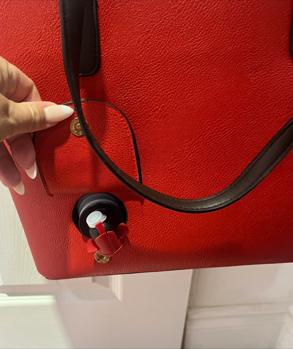 Red Wine Dispensing Tote Bag image indicator(3)