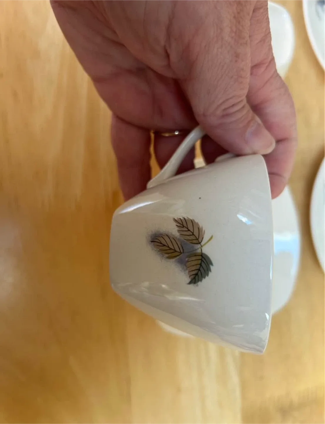 Vintage Midwinter Orchard Blossom coffee set image indicator(10)