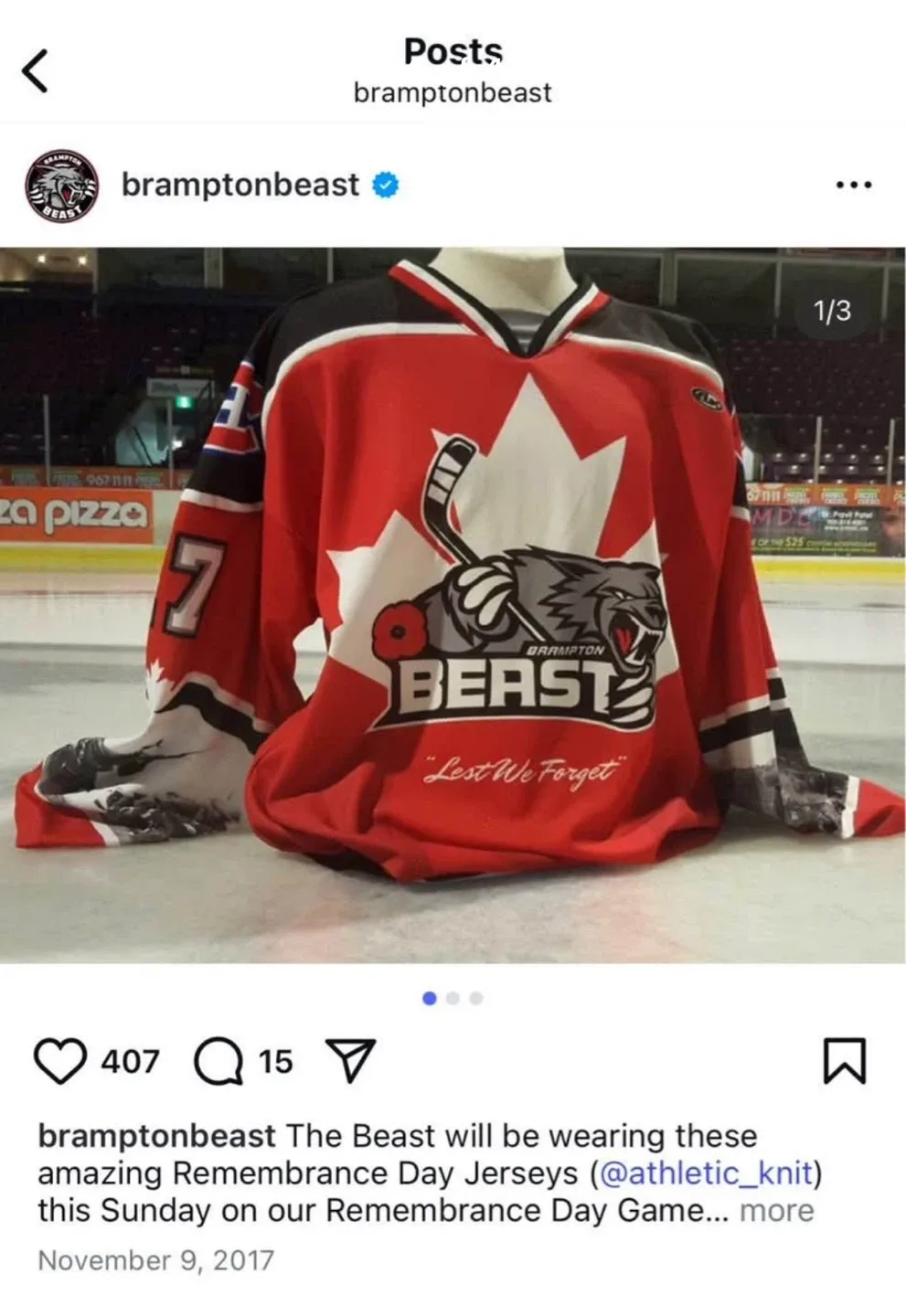 Brampton Beast Remembrance Day Hockey Jersey image indicator(4)