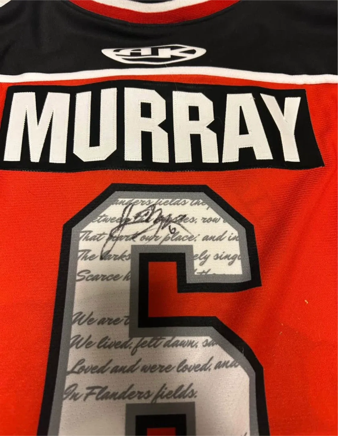 Brampton Beast Remembrance Day Hockey Jersey image indicator(3)