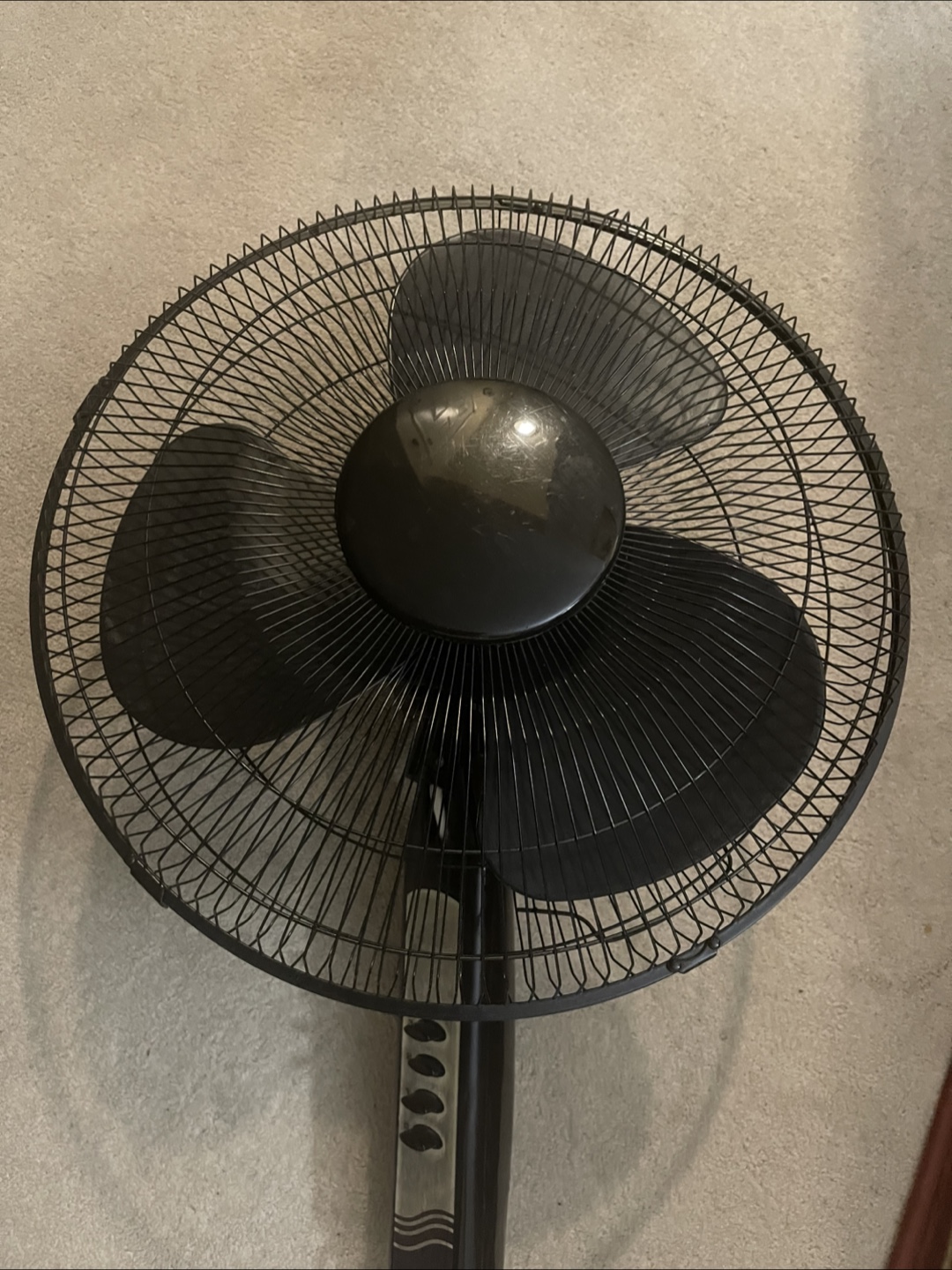 Black Standing Fan - photo 3