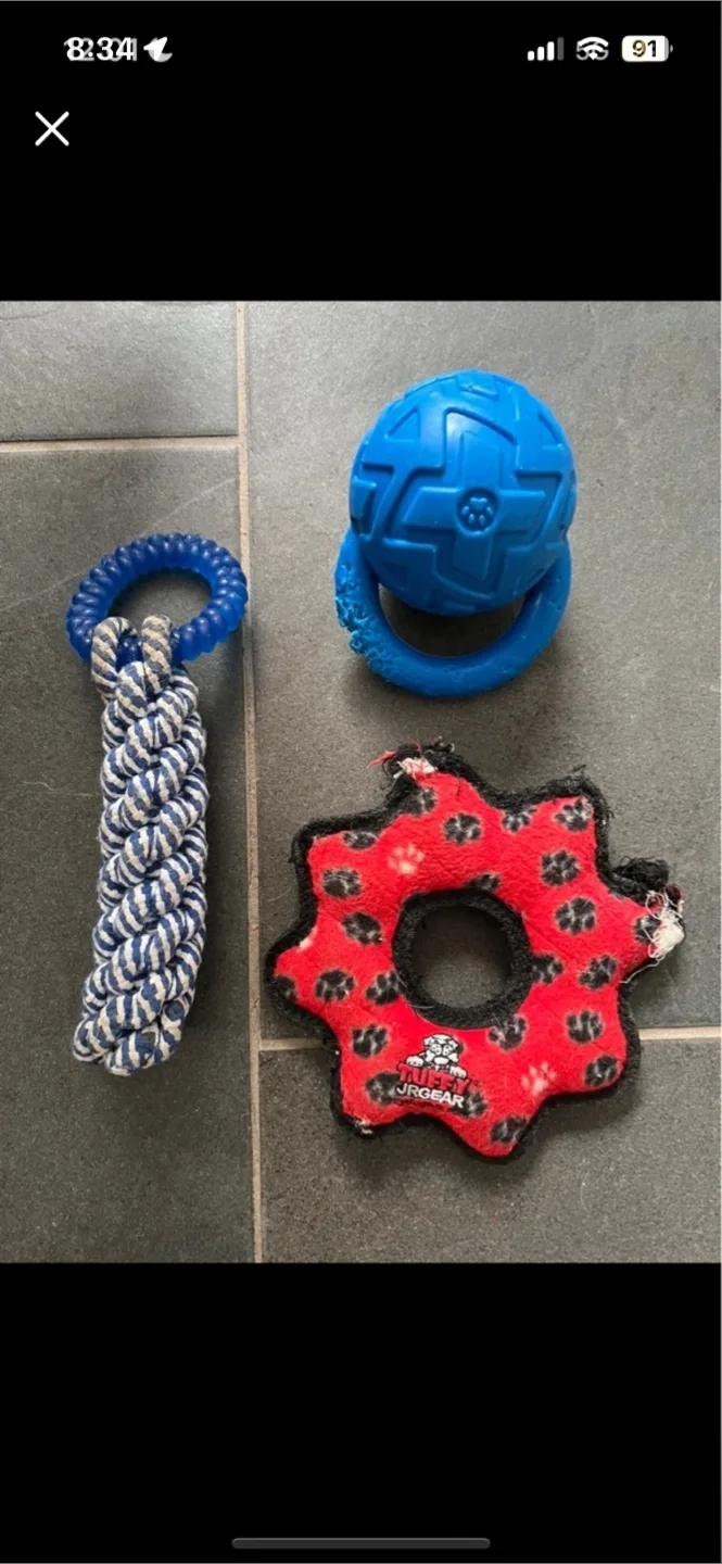 FREE Dog Toys thumbnail