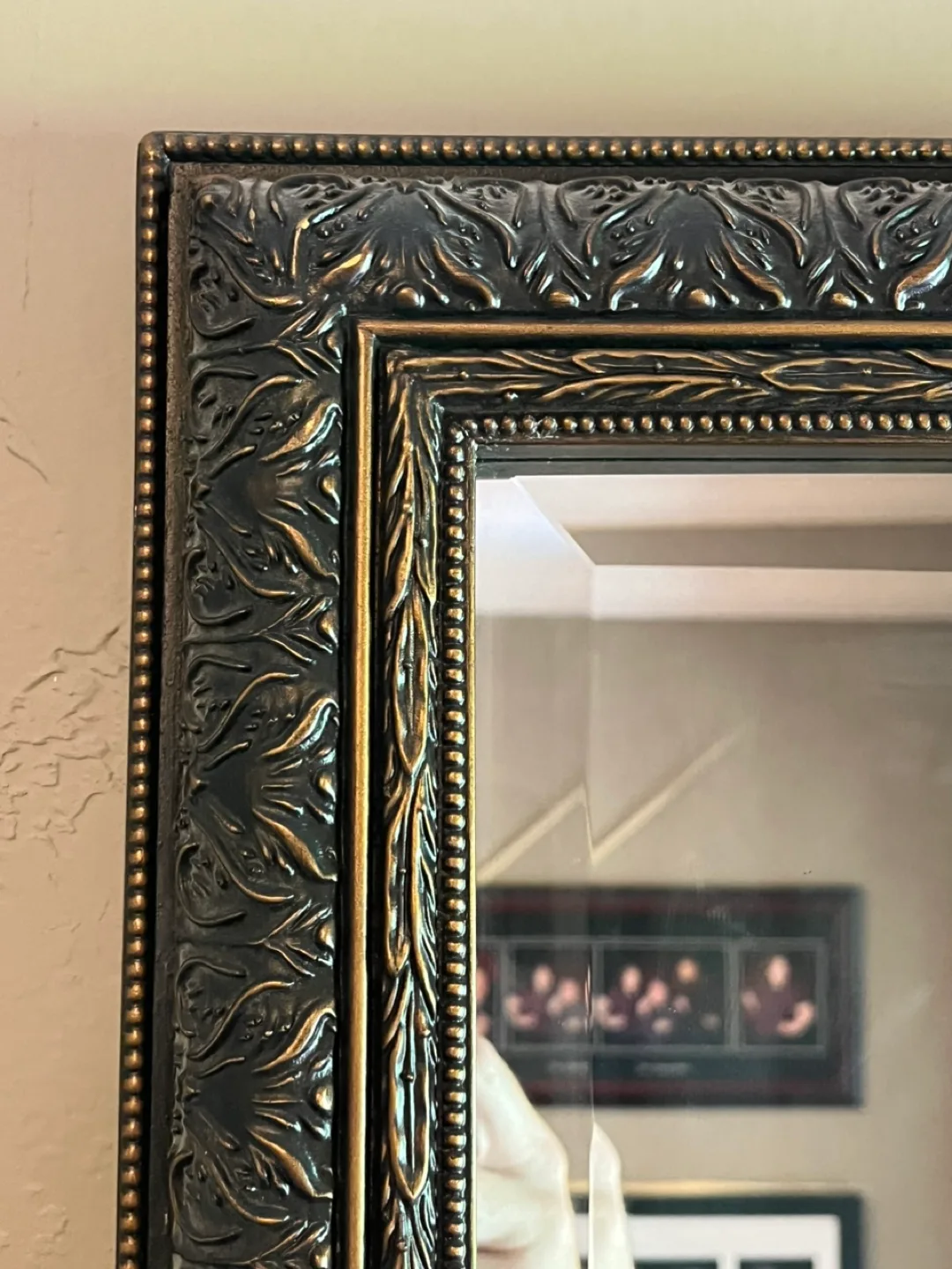 Ornate Framed Mirror image indicator(9)