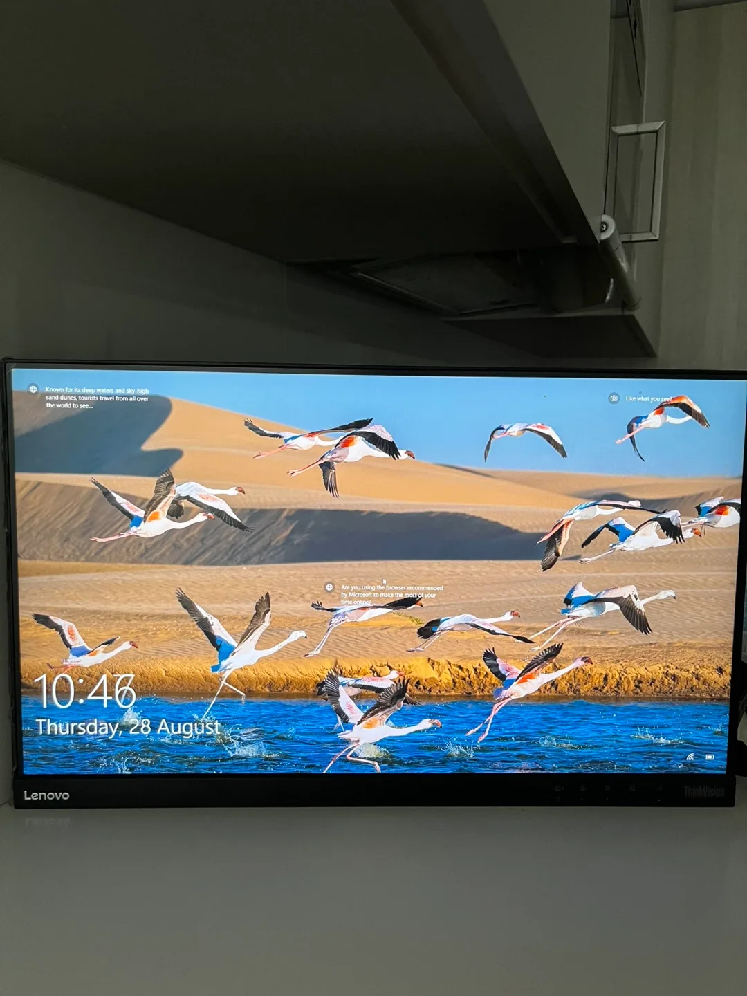 Lenovo ThinkVision Monitor image indicator(3)