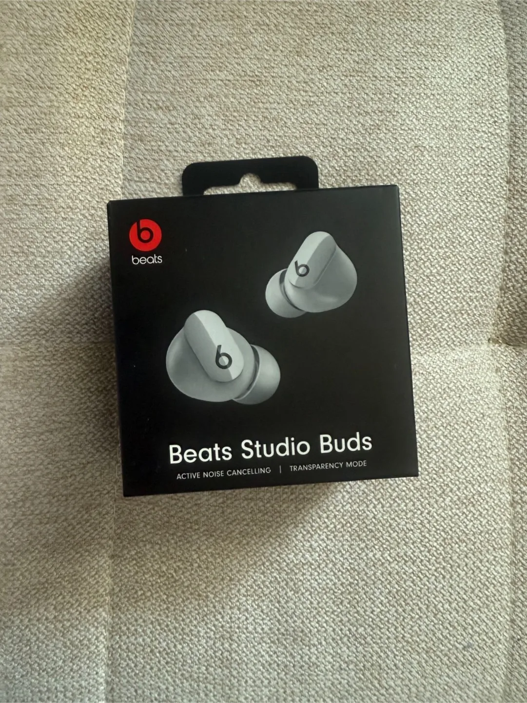 New Beats Studio Buds - Moon Gray image indicator(4)