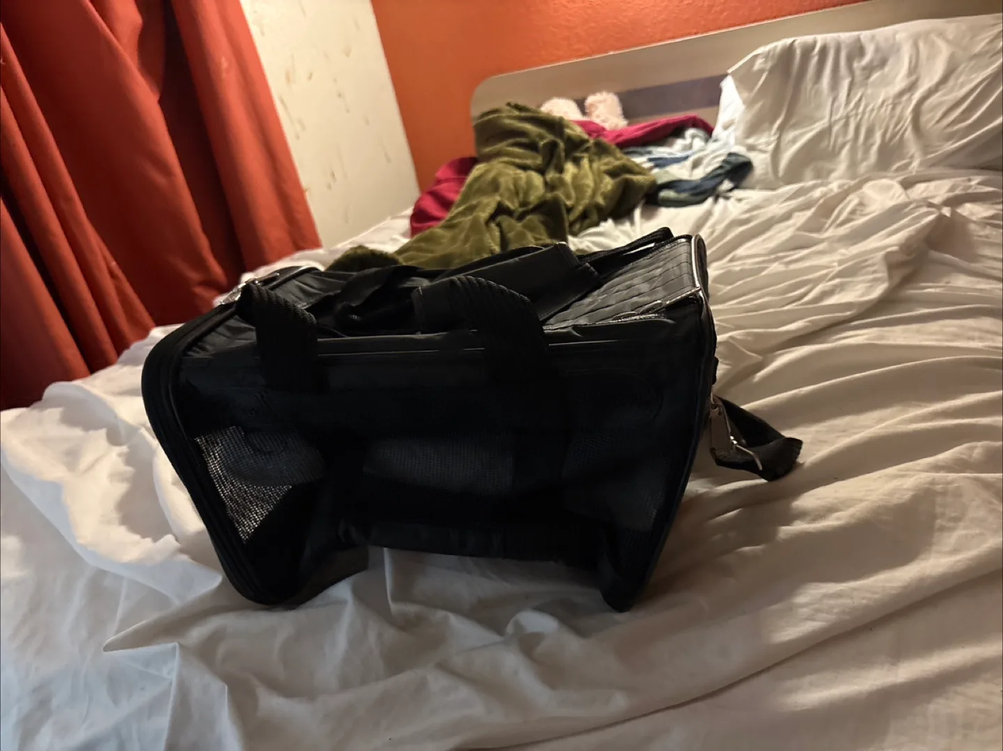 Black Travel Pet Carrier