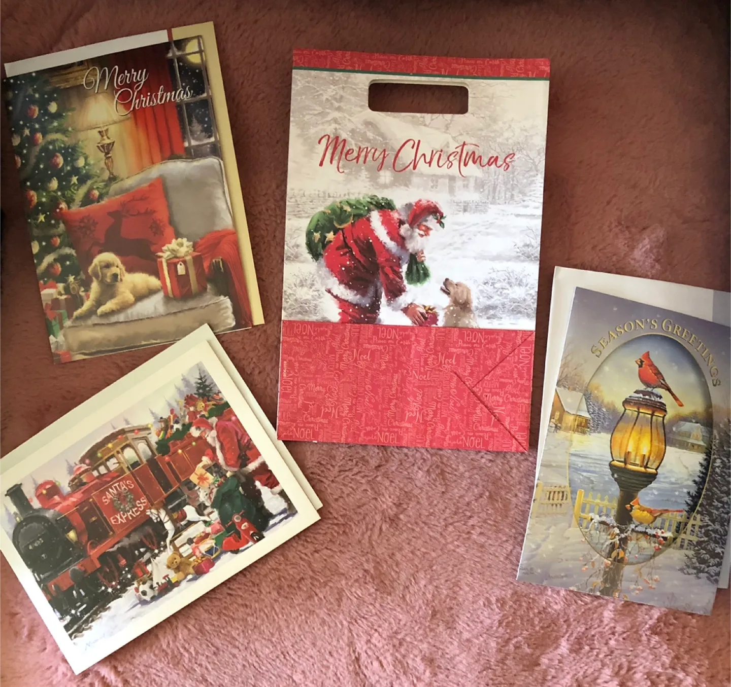 Christmas Cards & Gift Bag Set thumbnail