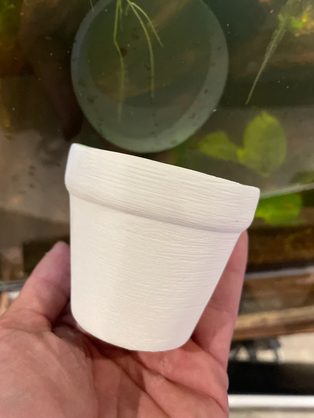Small White Ceramic Plant Pot
