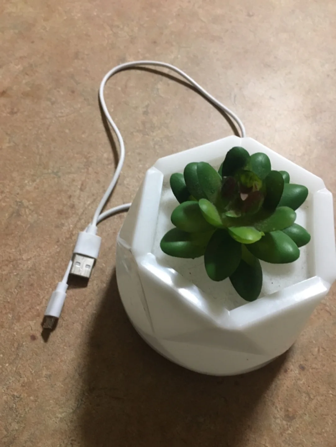 USB Powered Artificial Succulent Lamp thumbnail