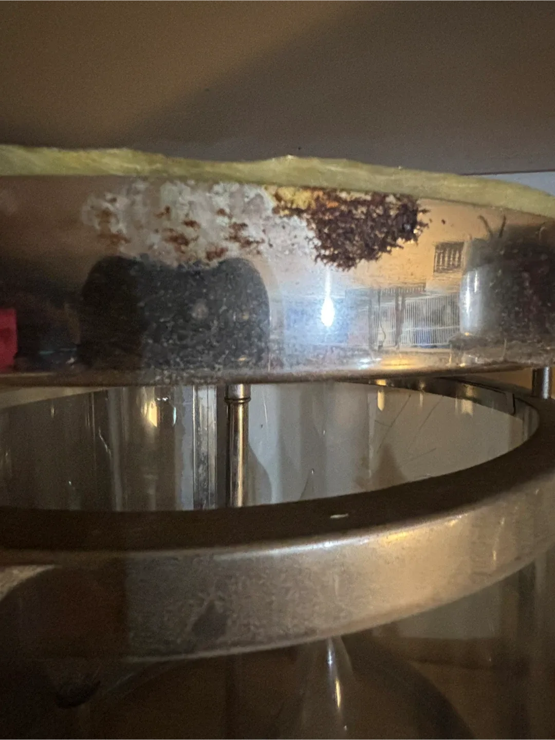 Set of 4 Glass & Metal Ceiling Lights image indicator(5)