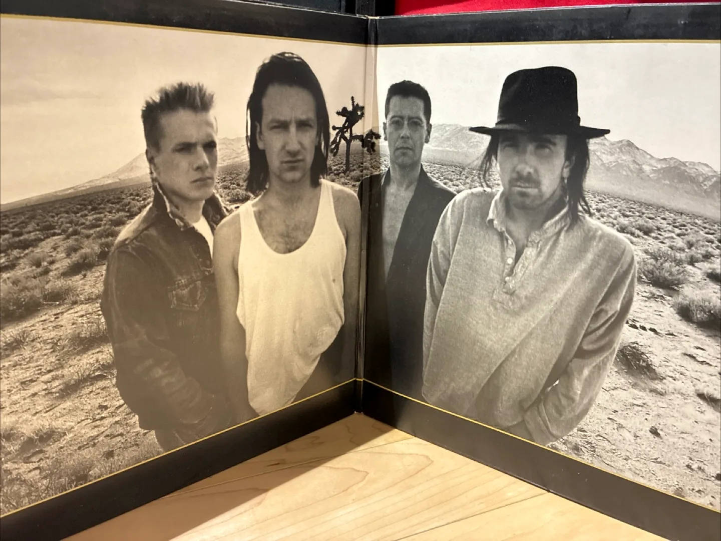U2 The Joshua Tree Vinyl Record image indicator(2)