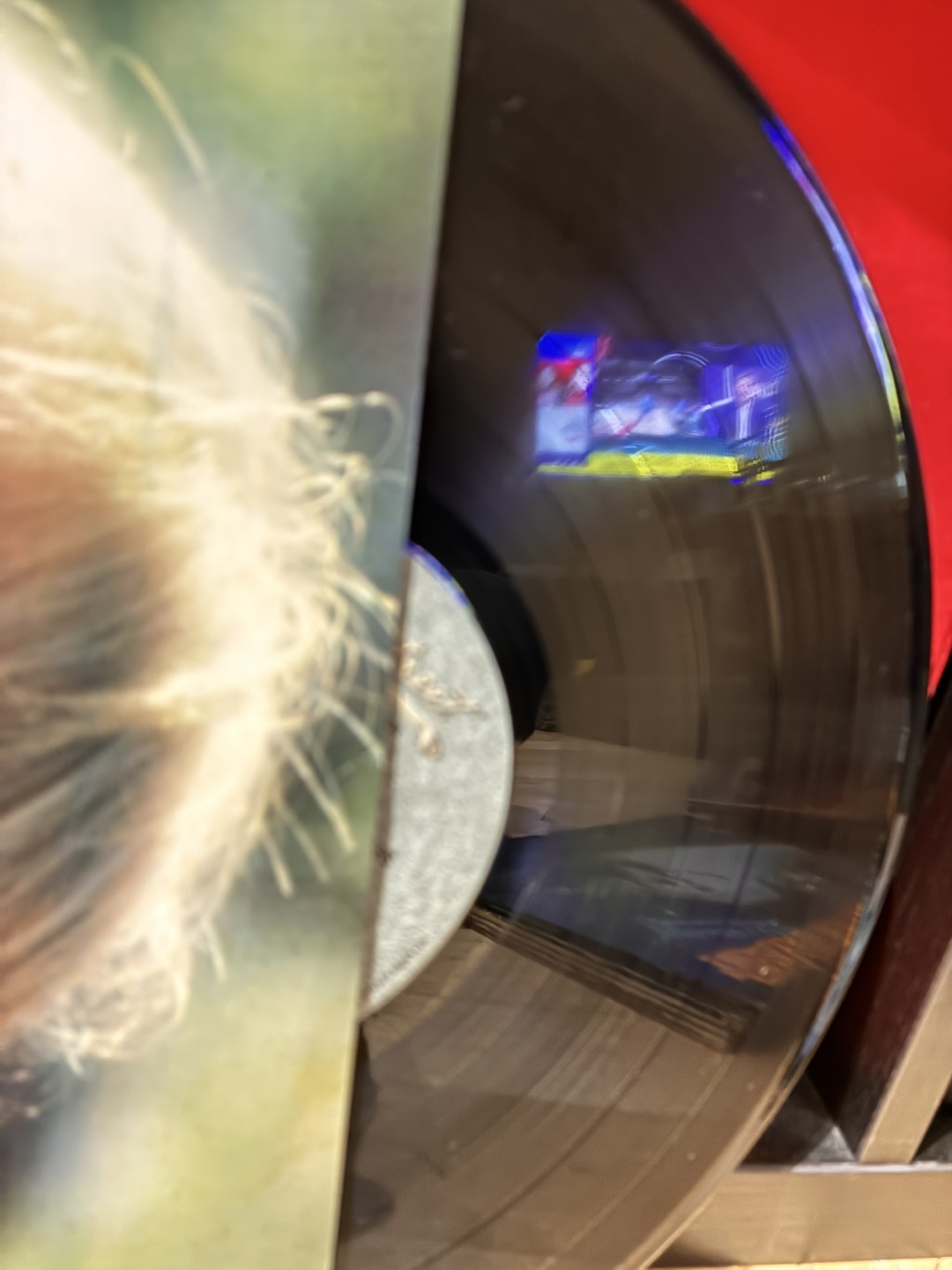 Tom Petty and the Heartbreakers - Damn the Torpedoes Vinyl - photo 4