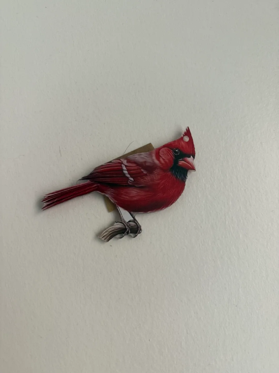 Red bird thumbnail
