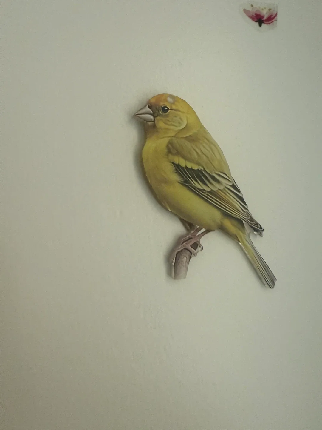 Yellow bird thumbnail