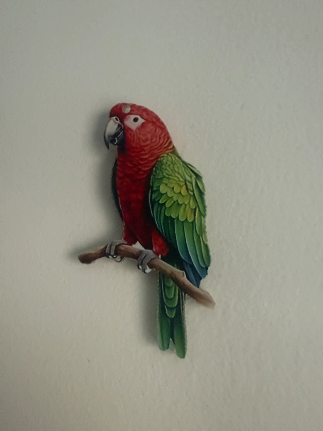 Parrot Wall Decor