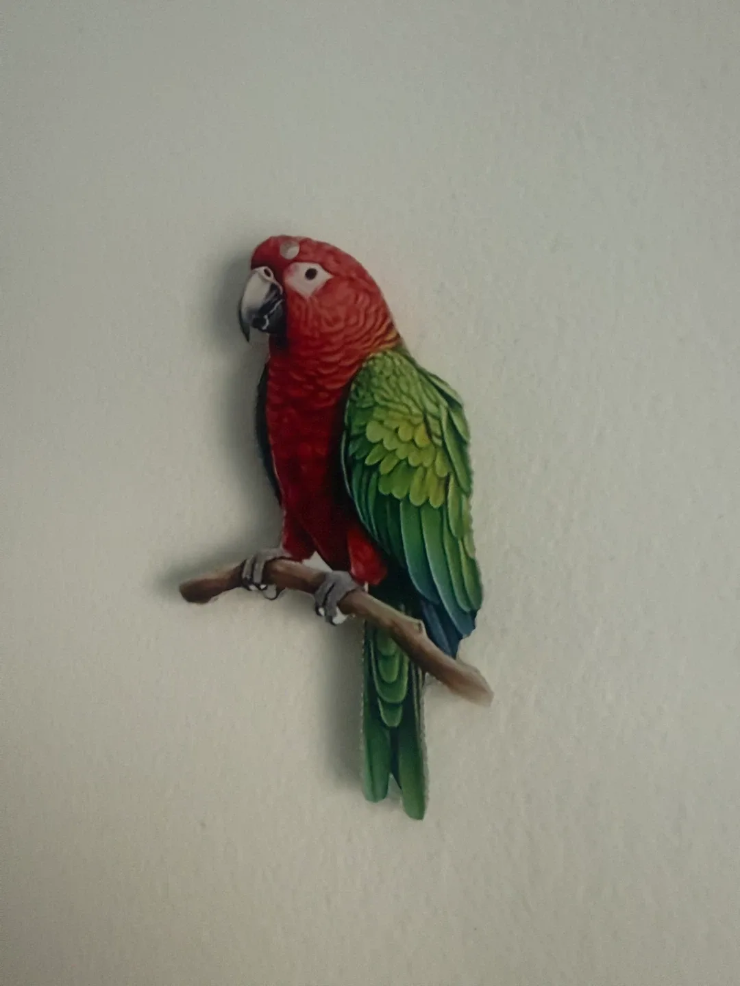 Parrot Wall Decor thumbnail
