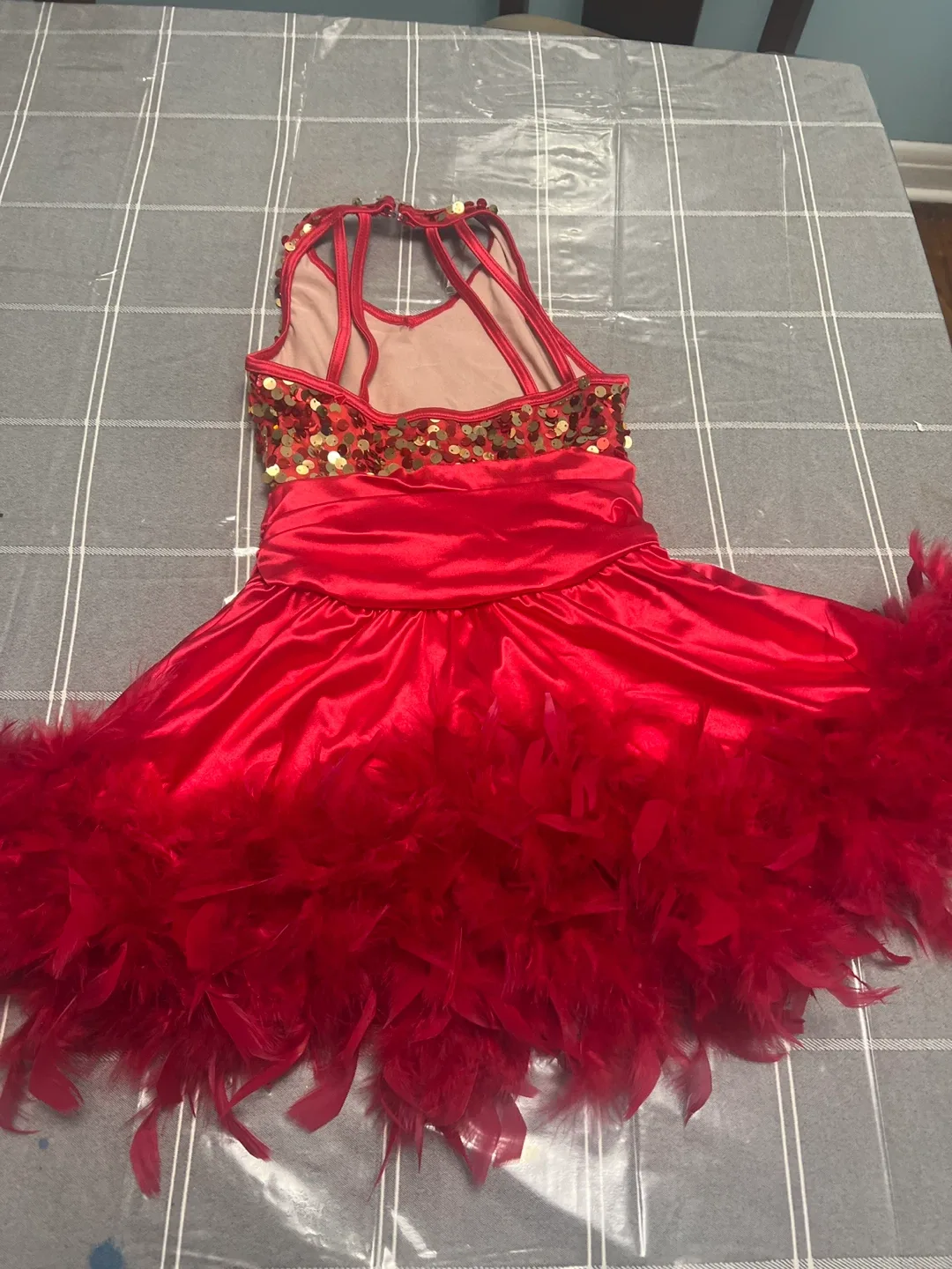 Red Sequin & Feather Dance Dress image indicator(2)
