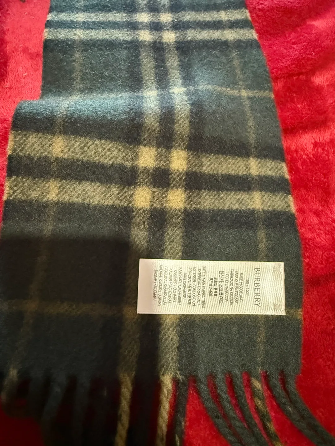Burberry Plaid Scarf image indicator(4)