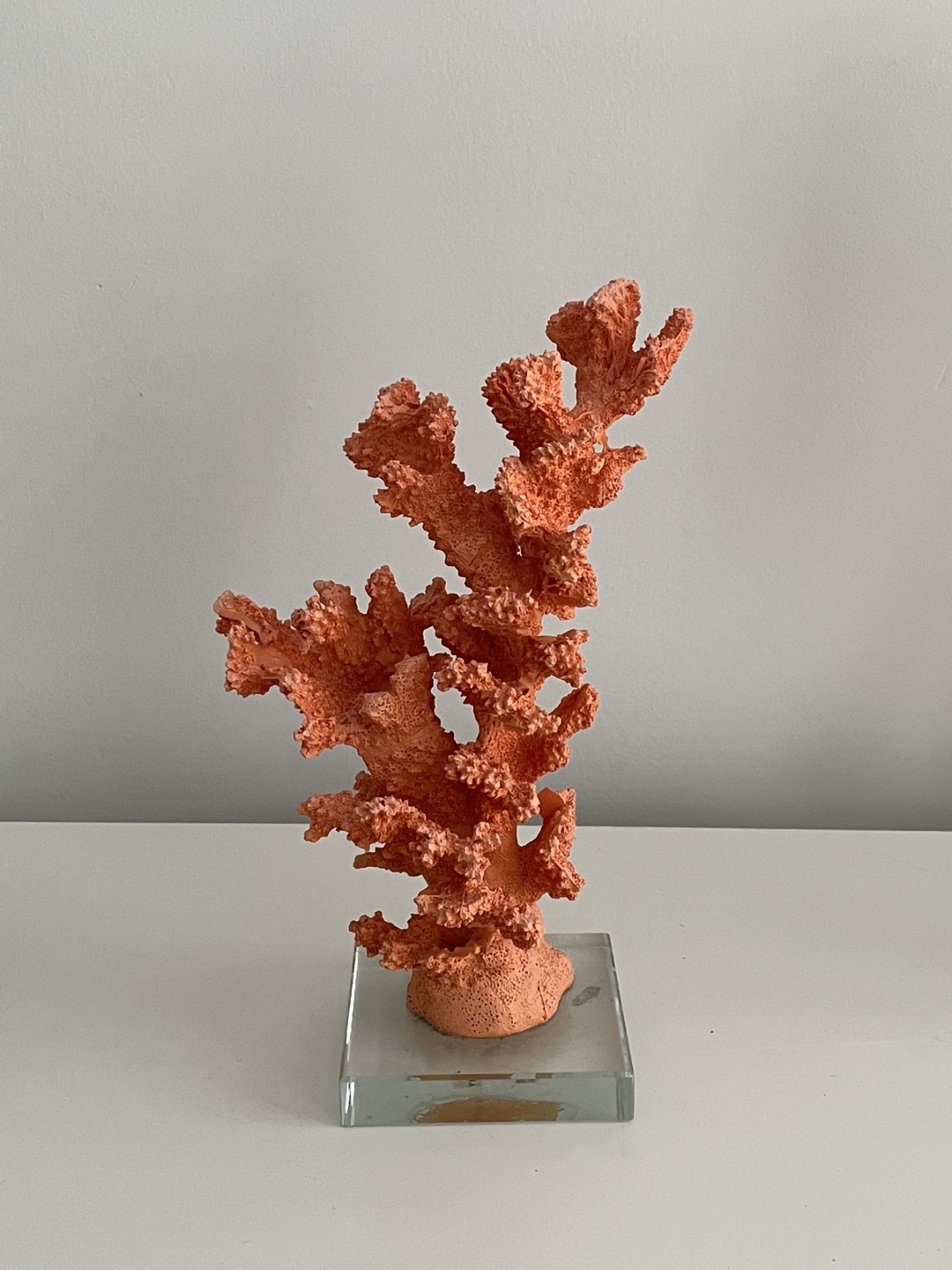 Coral Sculpture on Glass Base