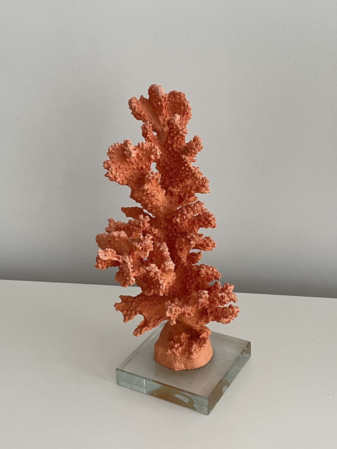 Coral Sculpture on Glass Base - photo 3