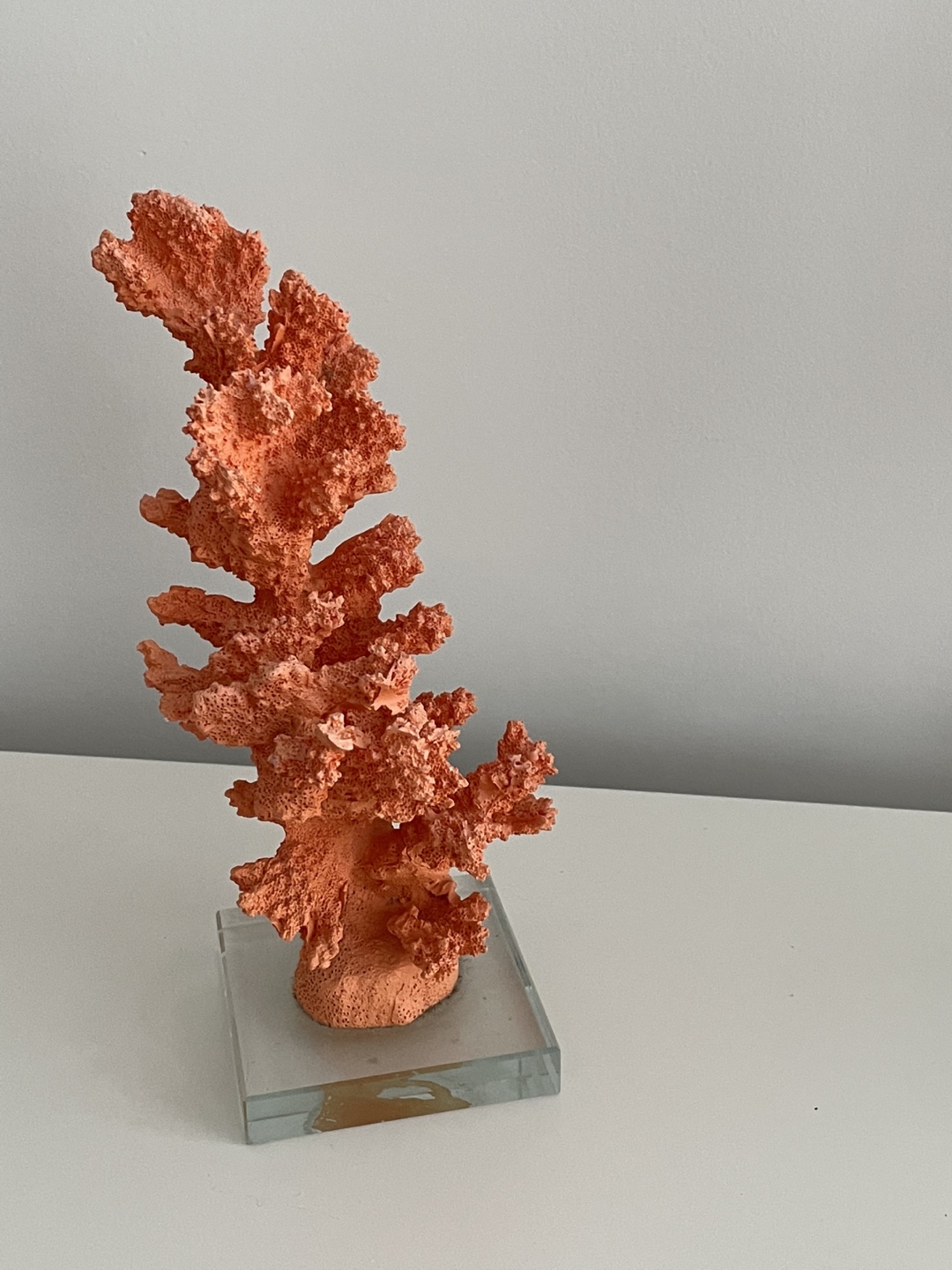 Coral Sculpture on Glass Base - photo 2