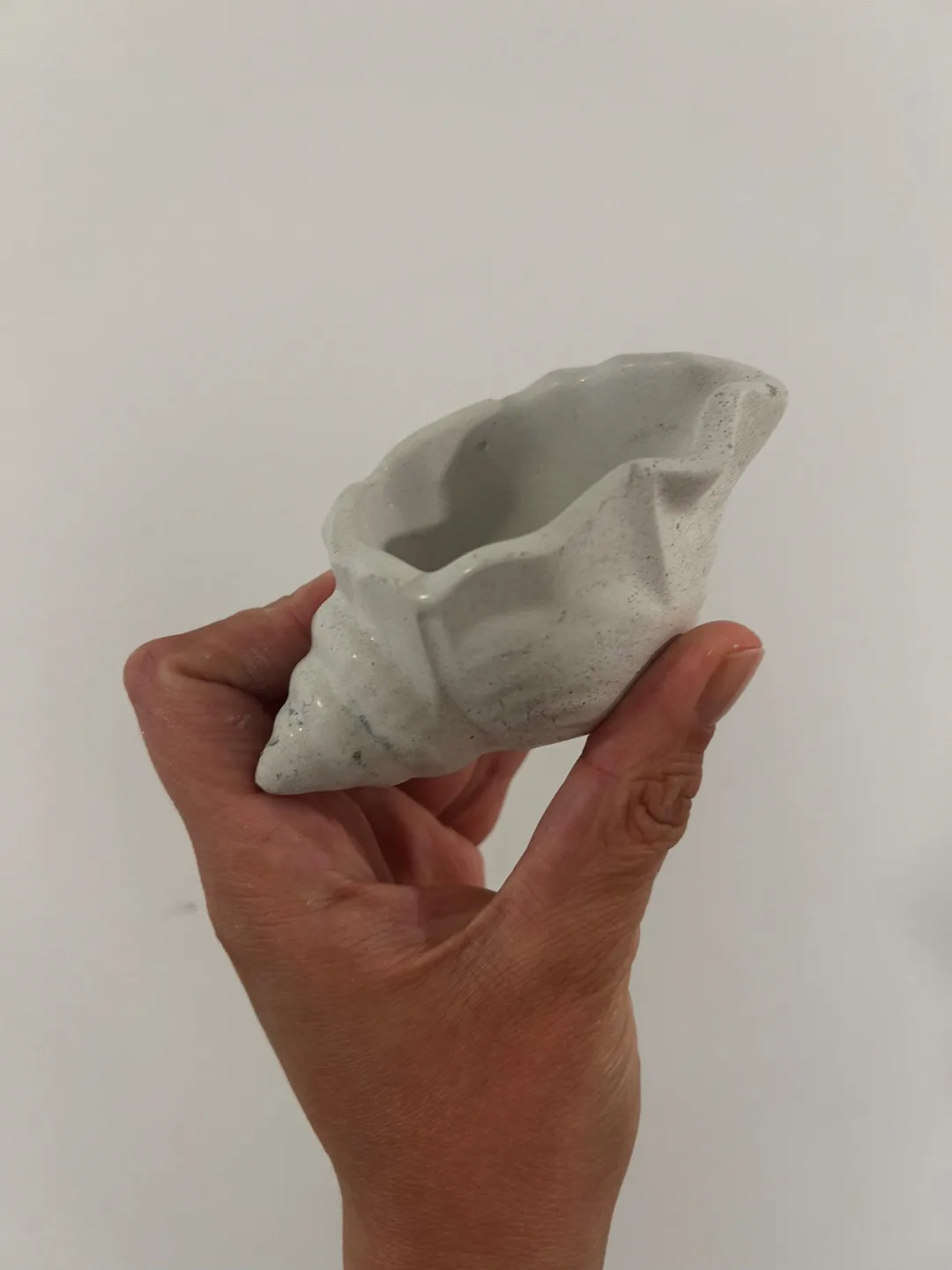 White Conch Shell Planter/ Trinket Holder image indicator(2)