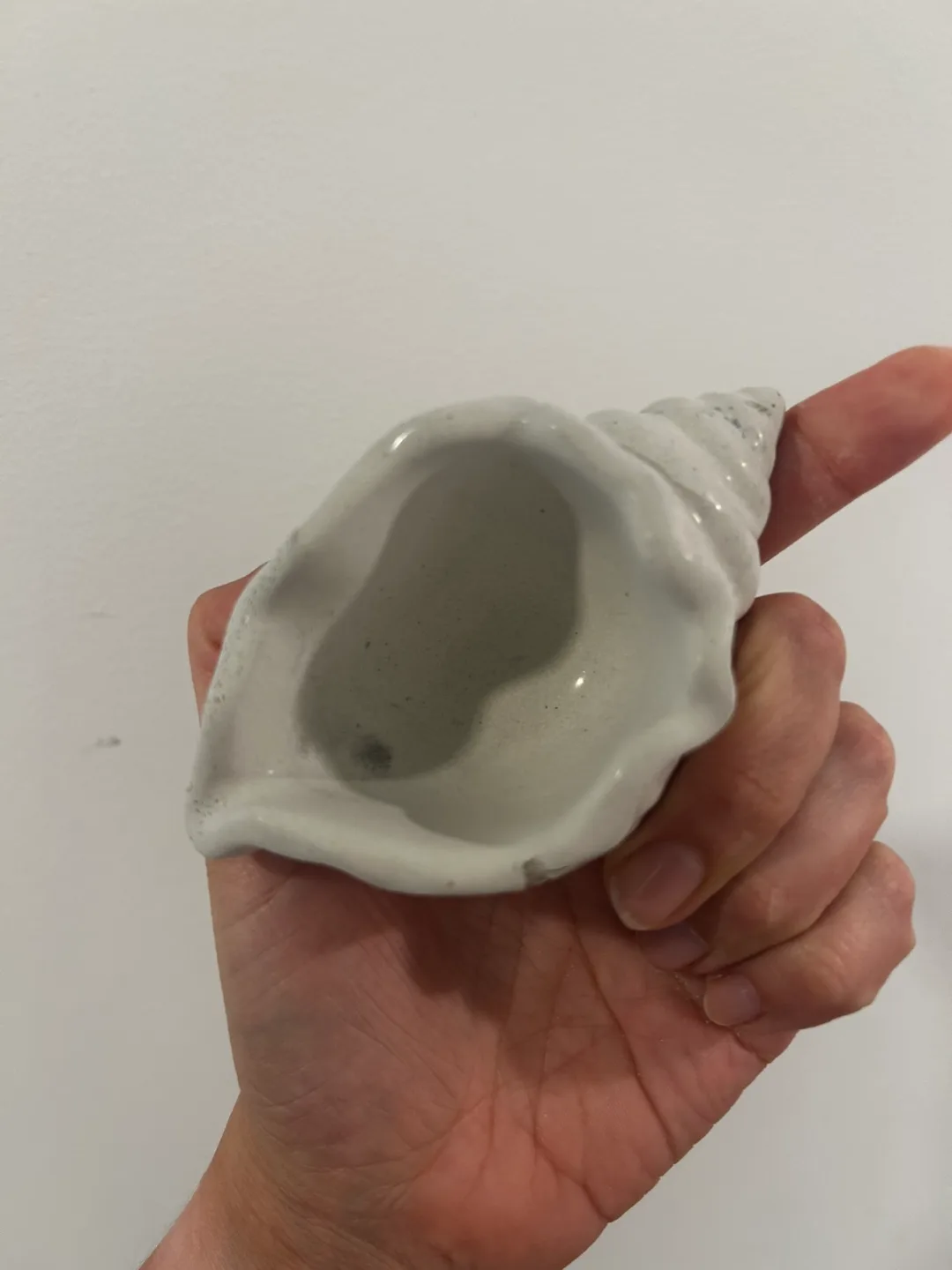 White Conch Shell Planter/ Trinket Holder image indicator(3)