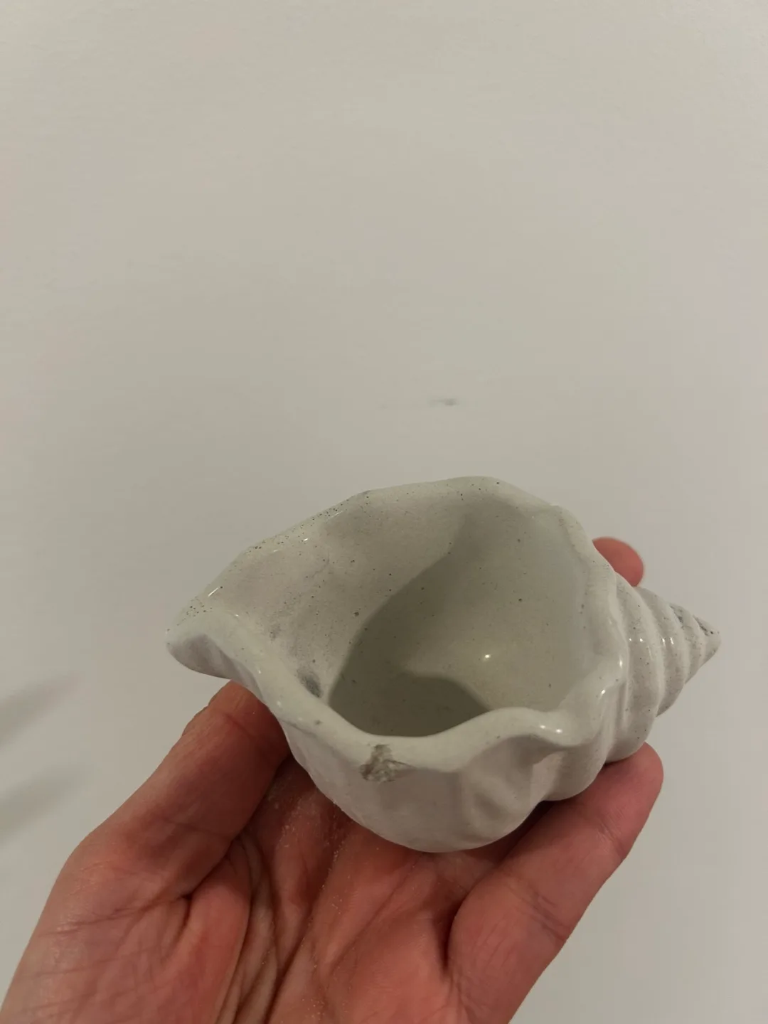 White Conch Shell Planter/ Trinket Holder thumbnail