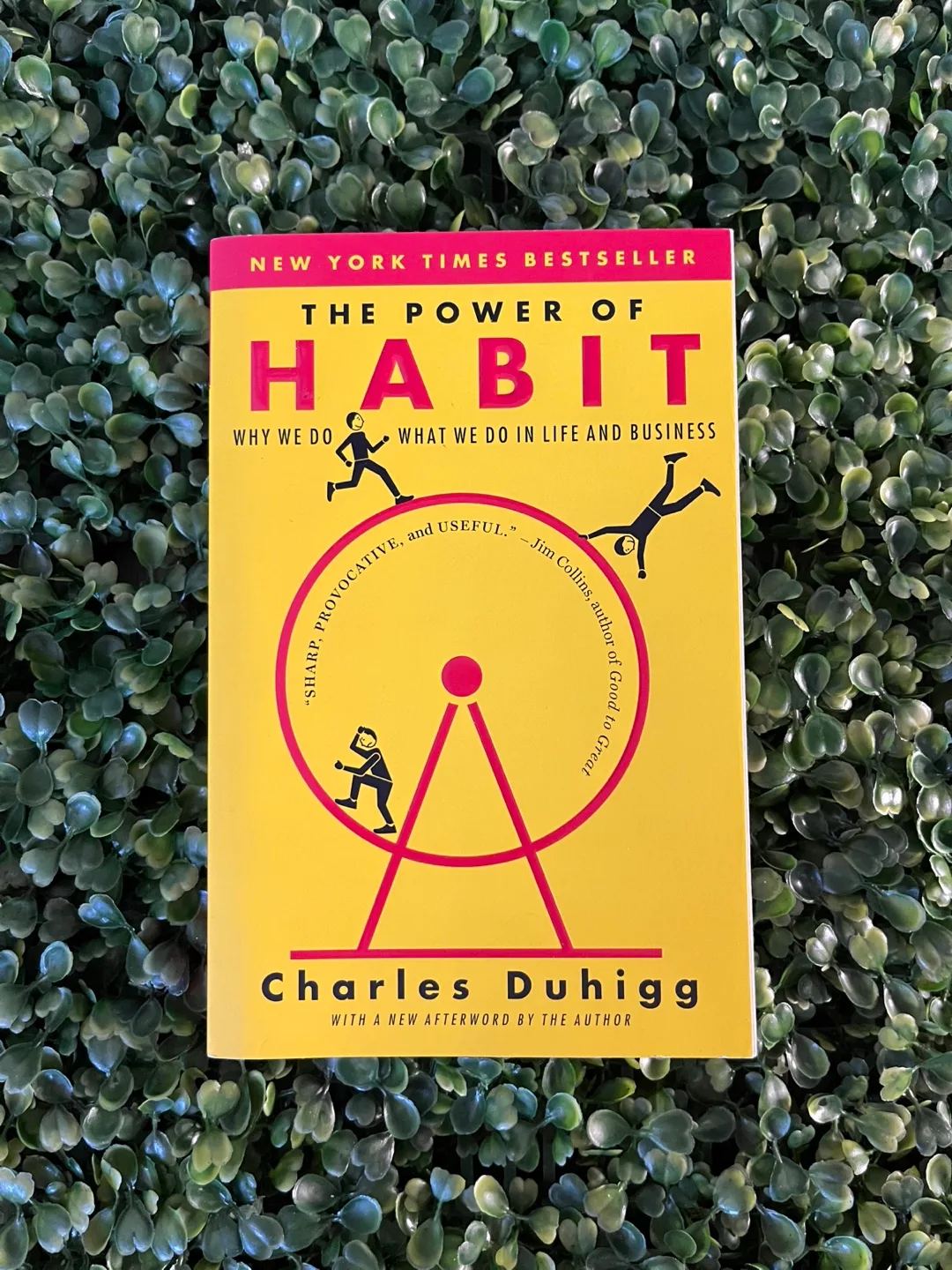 The Power of Habit Book Charles Duhigg thumbnail