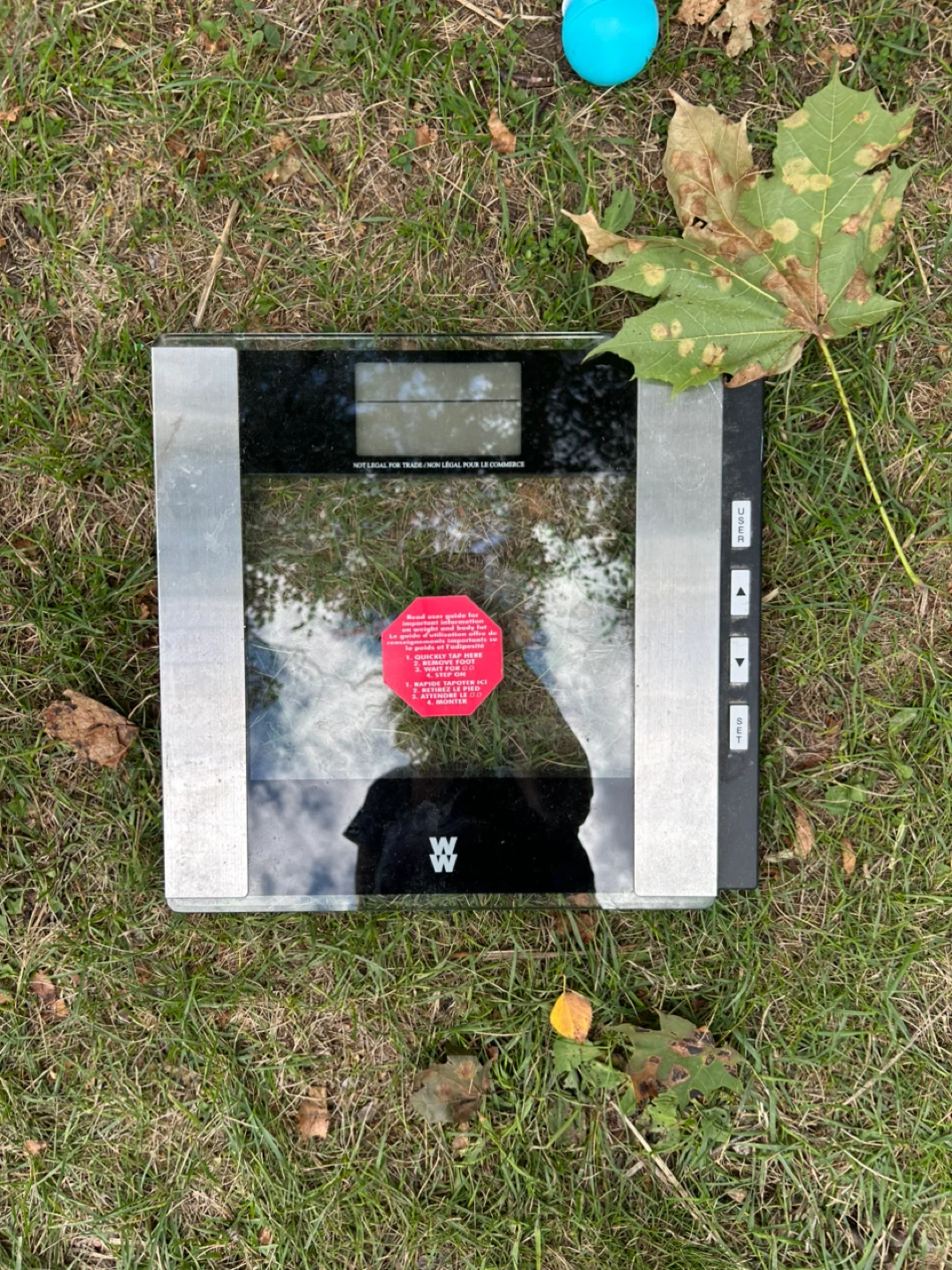 Weight Watchers Digital Scale